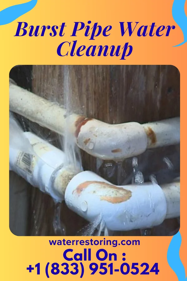 Burst Pipe Water Cleanup in Millbury, OH