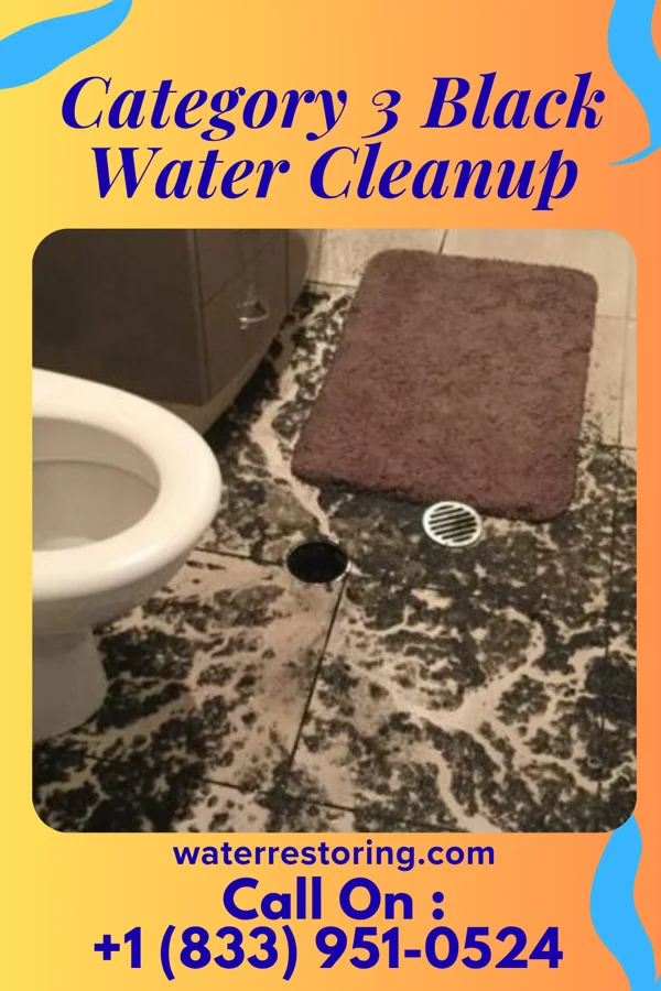 Category 3 Black Water Cleanup in Millbury, OH