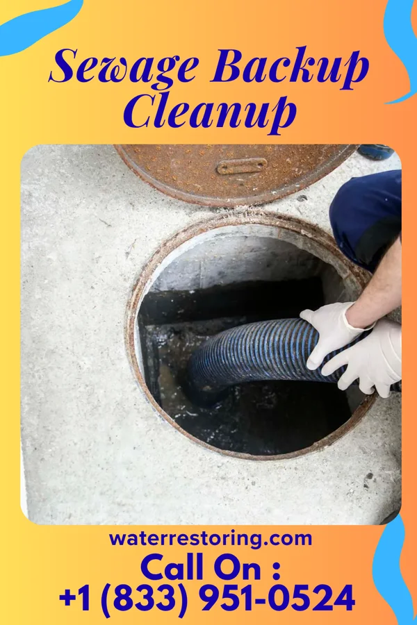 Sewage Backup Cleanup in Millbury, OH