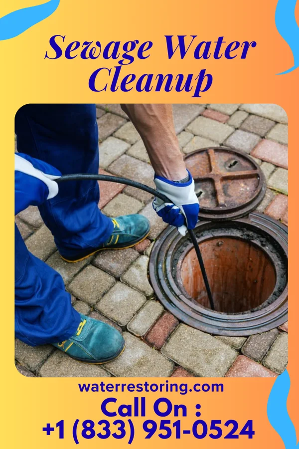 Sewage Water Cleanup in Millbury, OH