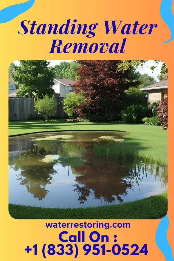 Standing Water Removal in Millbury, OH